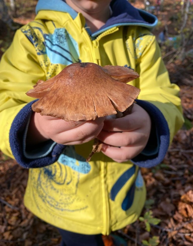 1ο Κυνήγι μανιταριών🍄